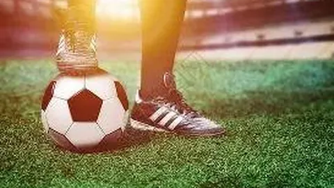 开云体育 资讯 083341 jqn